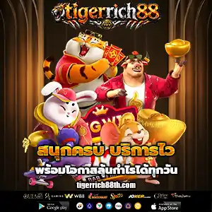 สล็อตtigerrich88