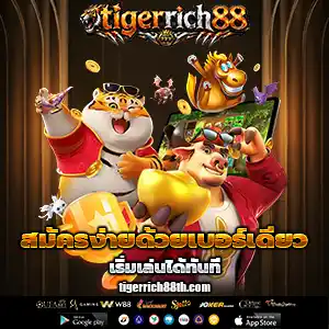tigerrich 88 แตกง่าย